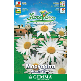 Σπόρος άνθους Μαργαρίτα λευκή γίγας M034