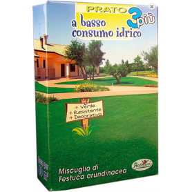 Σπόρος  Γκαζόν Festuca Arudinacea (κλασσικό)