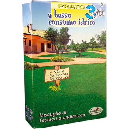 Σπόρος  Γκαζόν Festuca Arudinacea (κλασσικό)