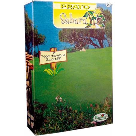 Σπόρος  Γκαζόν για παραθαλάσσιες περιοχές (Sahara)