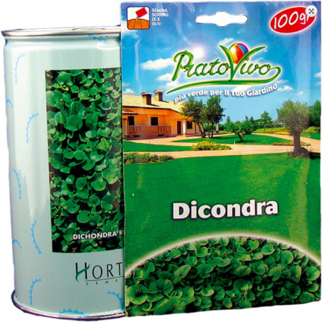 Σπόρος  Γκαζόν Διχόνδρα (τριφύλλι)