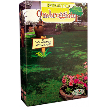 Σπόρος  Γκαζόν Σκιάς (Ombreggiato)